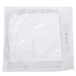 STERILKOMPRES NT I.V. 10 x 10 cm á 2 ks